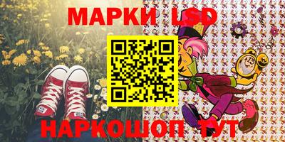 гашик Будённовск