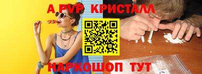 гашик Будённовск