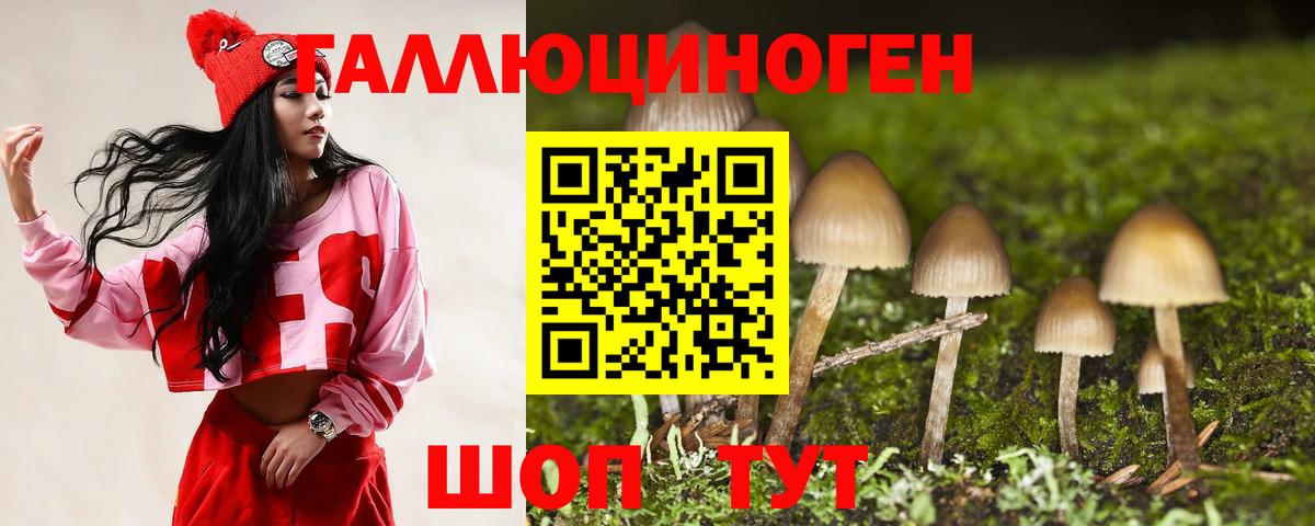 Галлюциногенные грибы Psilocybe Соль-Илецк